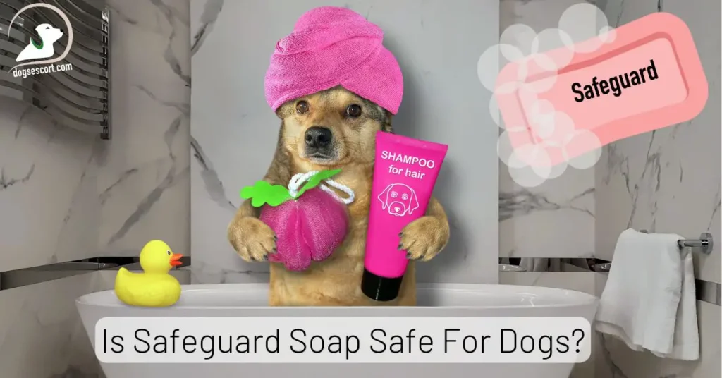 Is Safeguard Soap Safe For Dogs