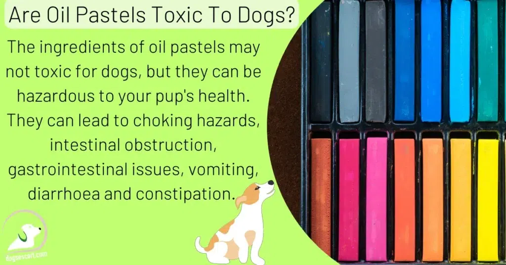 Are Oil Pastels Toxic To Dogs?