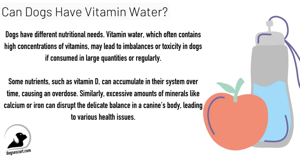 Can Dogs Have Vitamin Water