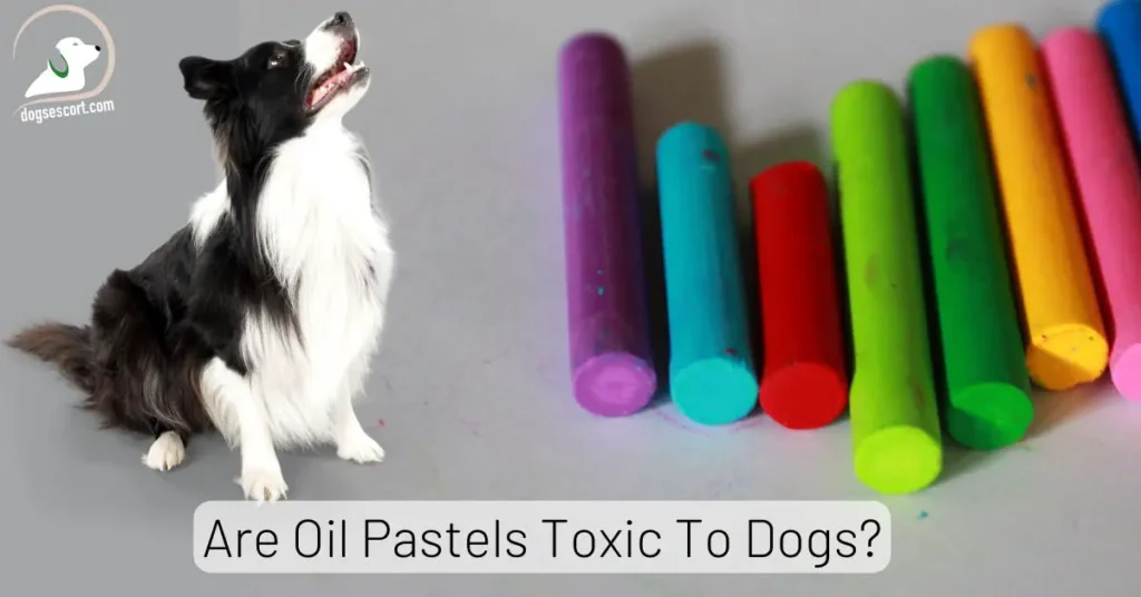 Are Oil Pastels Toxic To Dogs