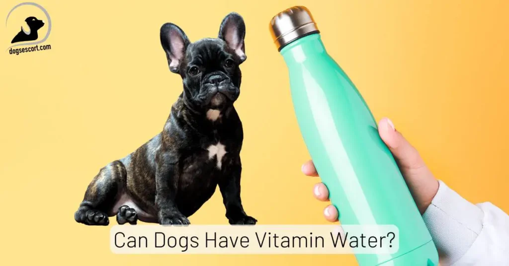Dogs Have Vitamin Water