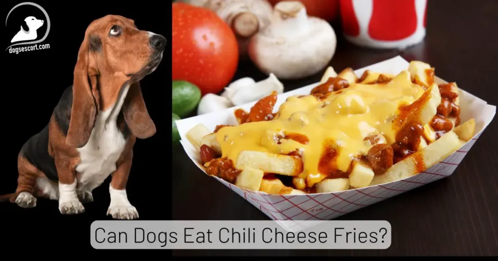 Can Dogs Eat Chili Cheese Fries