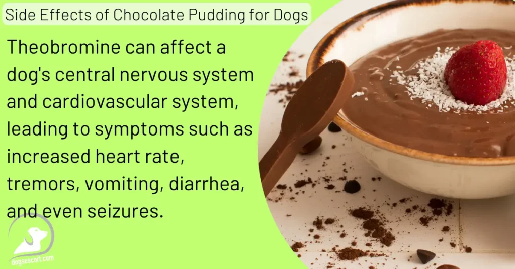 Side effects of Chocolate Pudding for Dogs