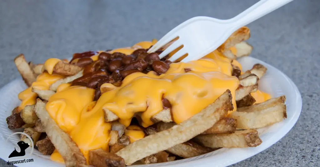 Chili cheese fries
