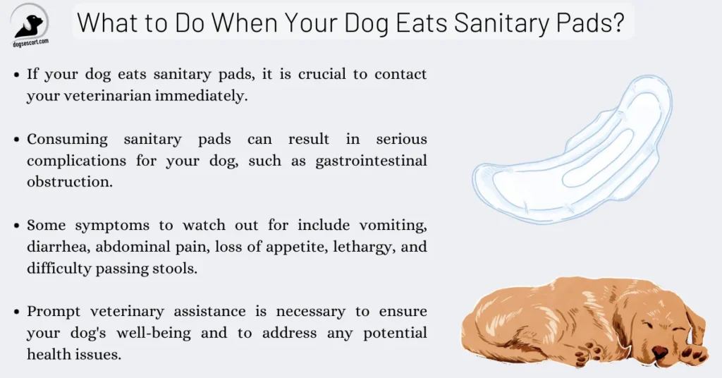 What to Do When Your Dog Eats Sanitary Pads