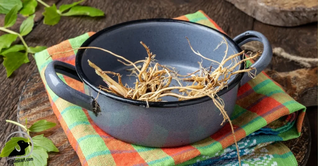 Valerian Root