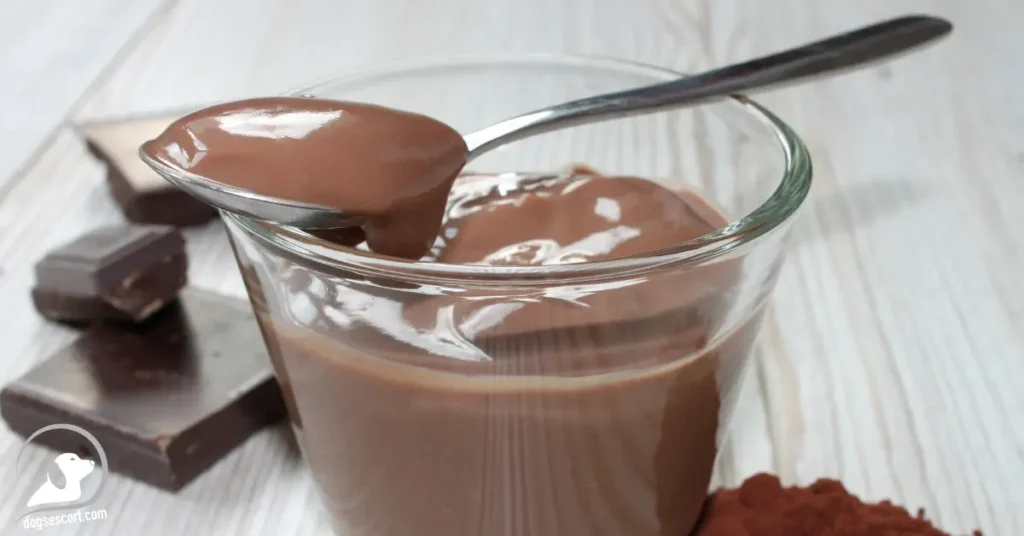 Chocolate Pudding