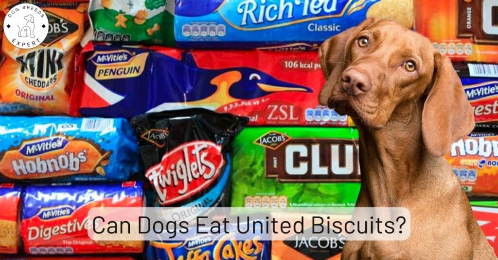Can Dogs Eat United Biscuits