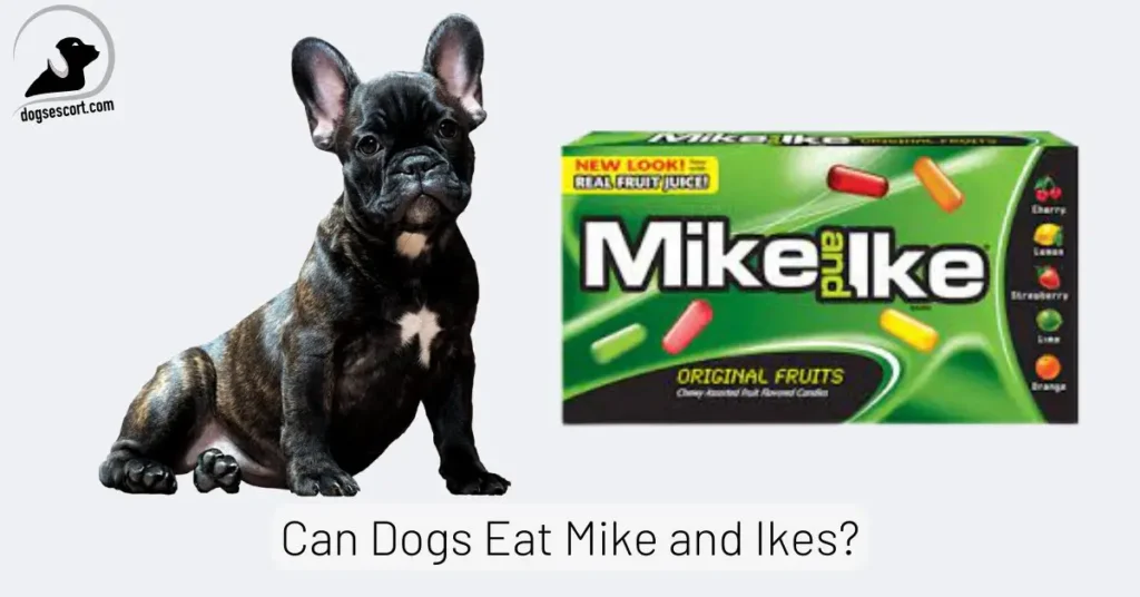 Dogs Eat Mike and Ikes