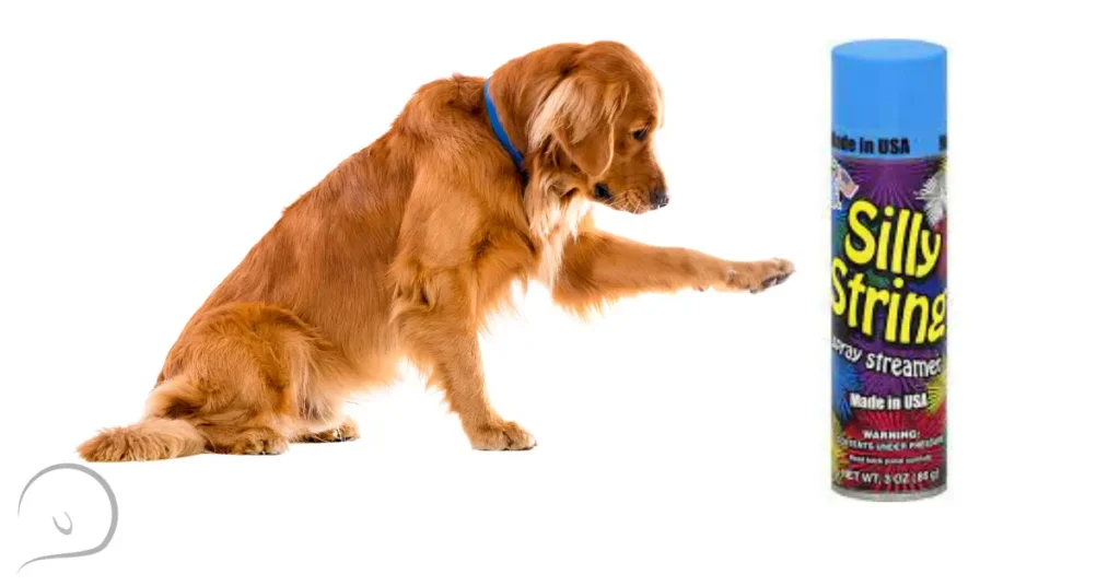 Silly String for dogs