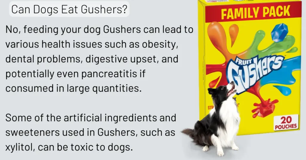 Can Dogs Eat Gushers