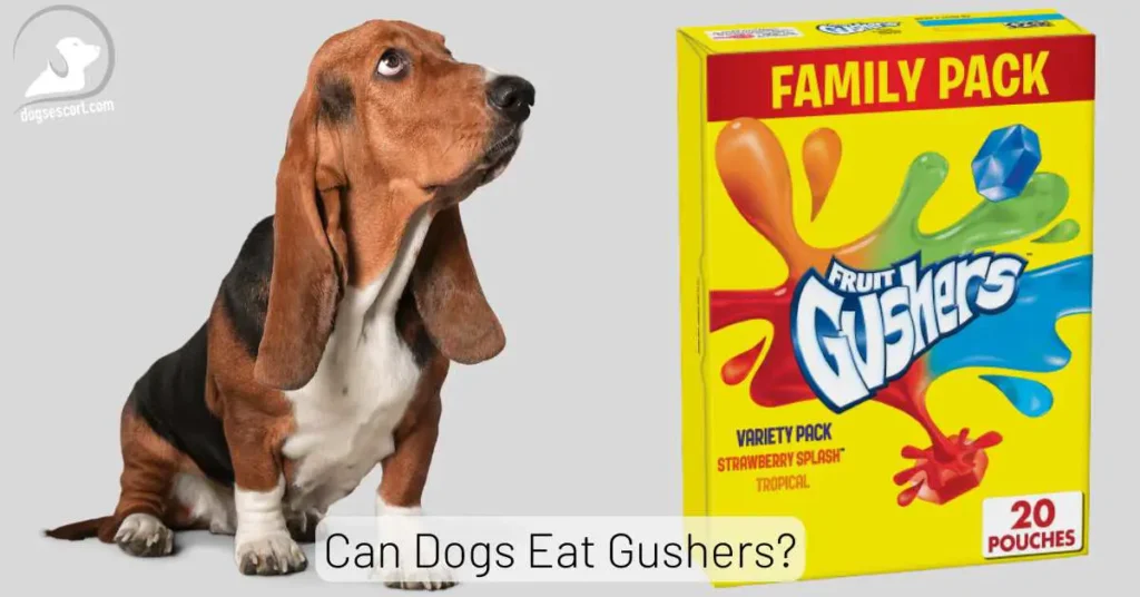 Gushers for dogs
