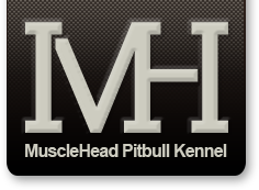 MuscleHead Pitbull Kennel