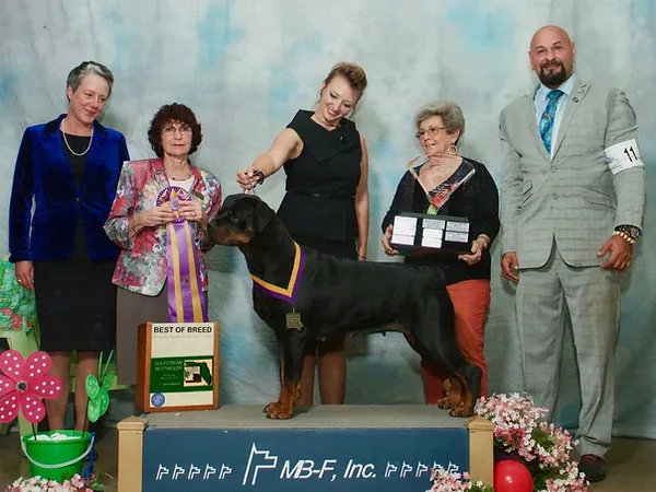 Forte Bello Rottweilers
