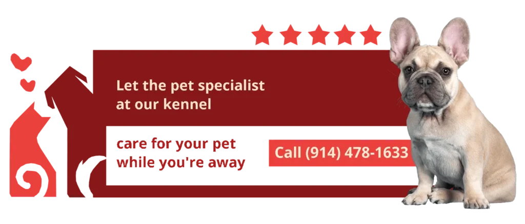 Ludworth kennels