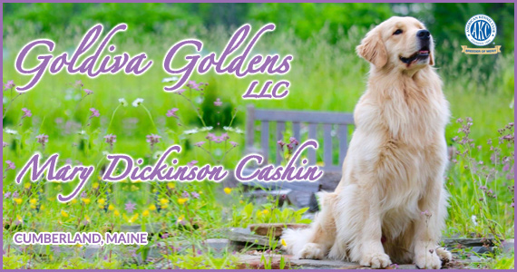 Goldiva Goldens