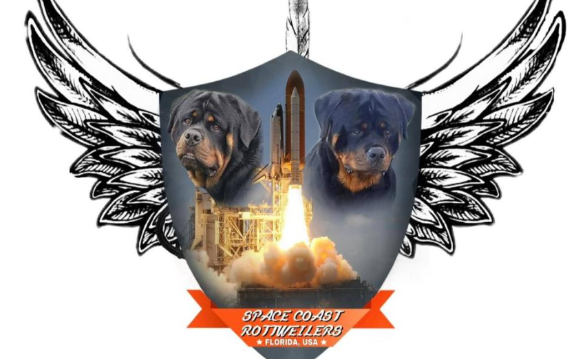 Space Coast Rottweilers Florida