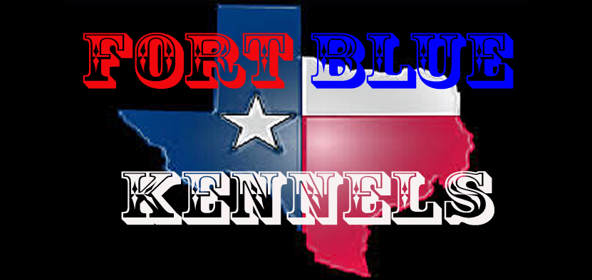 Fort Blue Kennels