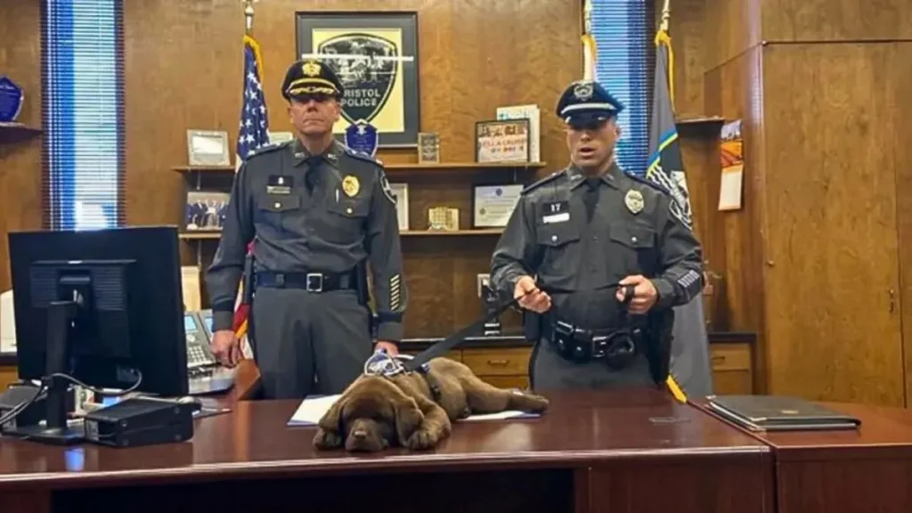 K-9-Brody-Sleeps-Through-His-Entire-Swearing-In-Ceremony