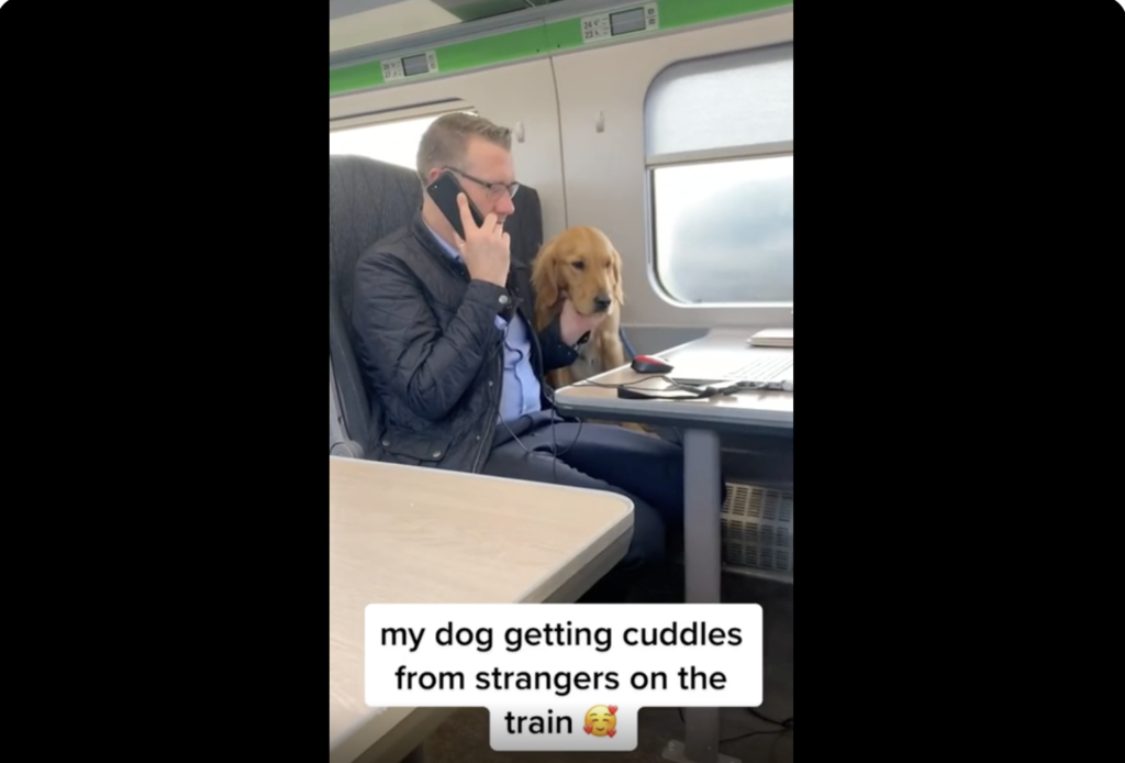 Dogs speak to those who listen