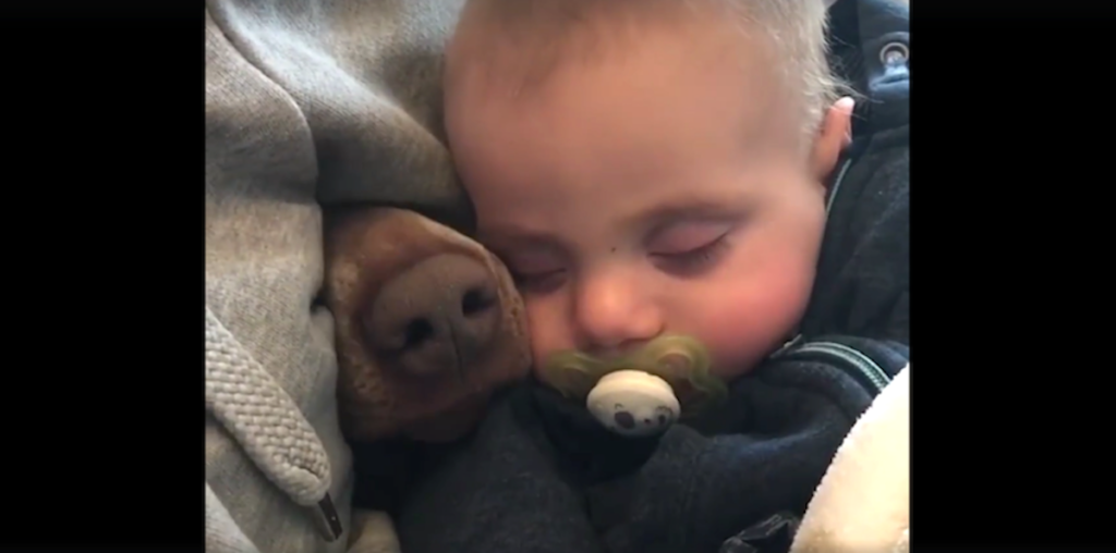 Baby and Dog Best Friends Story: Heartwarming Moments Shared