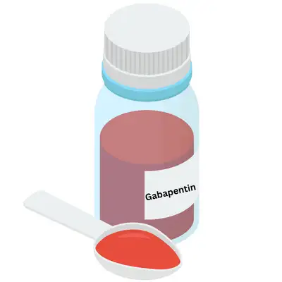 Liquid Gabapentin for Dogs