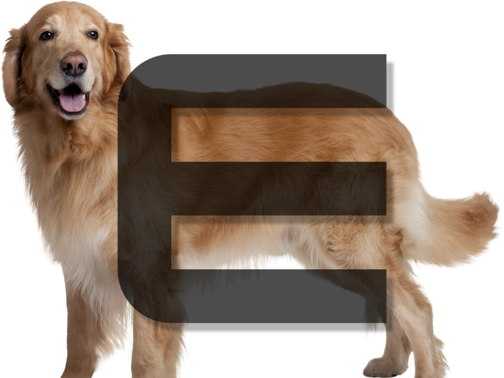 Dog Names Beginning with E: 200+ Adorable Options for Your Furry Friend