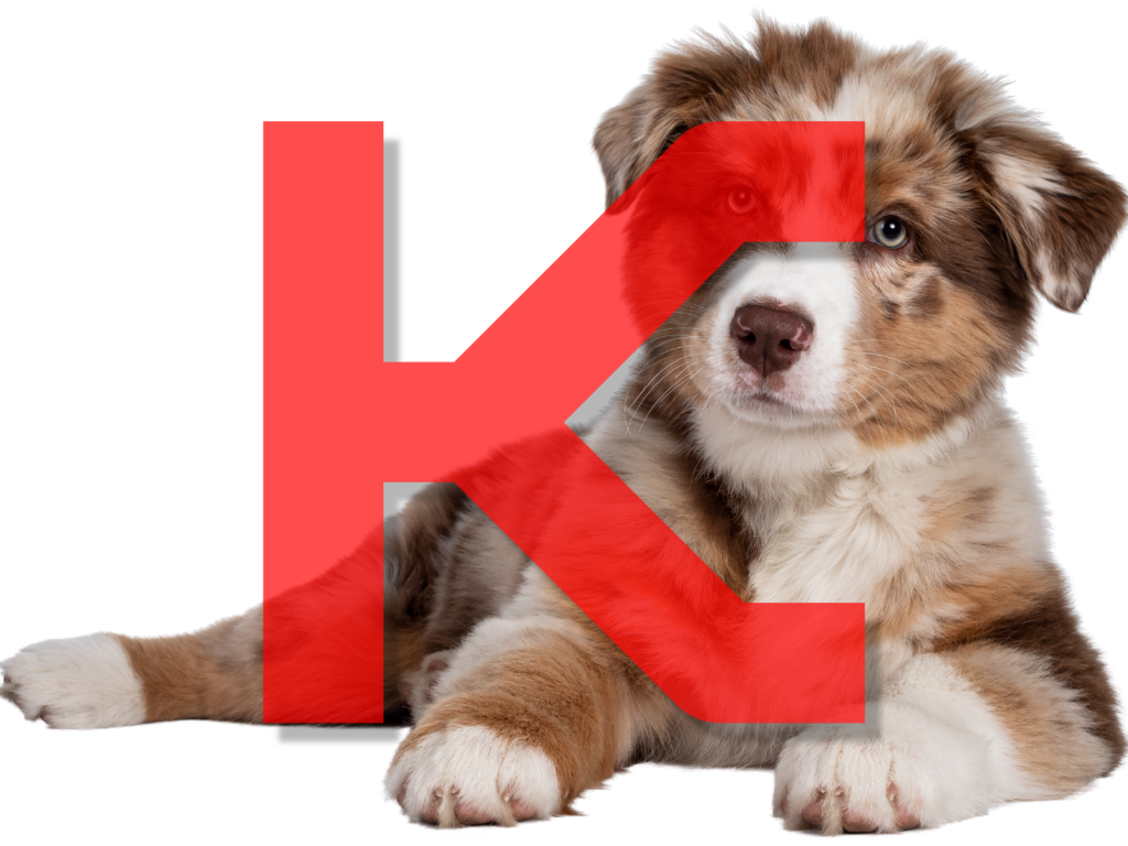 Dog Names Beginning with K: 200+ Clever and Cute Choices for Your Canine