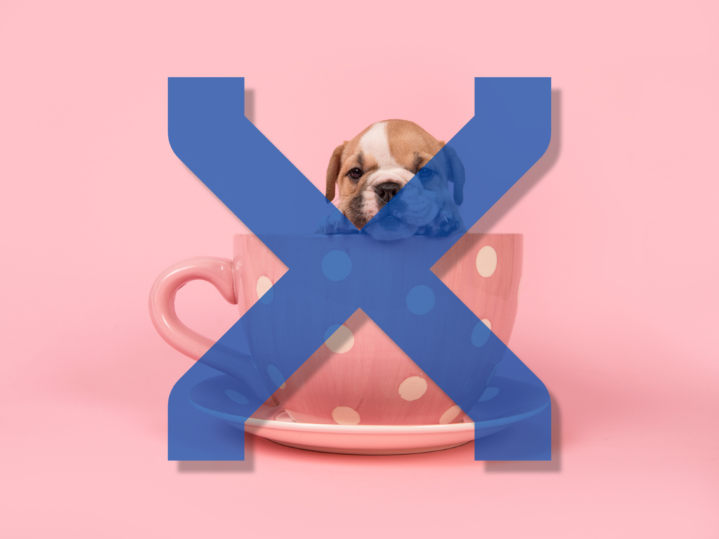 Dog Names Beginning with X: 250+ Unique Ideas for Your Pup